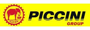 piccini group